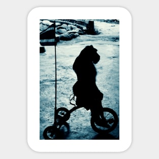 Monkey on bike Sticker